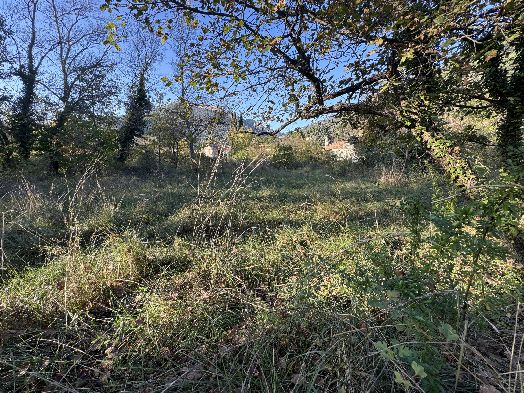 BUIS LES BARONNIES - TERRAIN CONSTRUCTIBLE - 704 M2 - image n°1