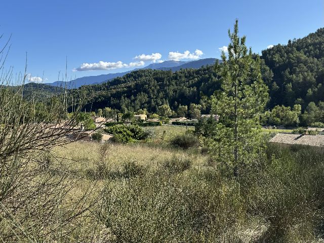 BUIS LES BARONNIES - BEAU TERRAIN A BATIR DE 1504m2 EN POSIT - image n°1