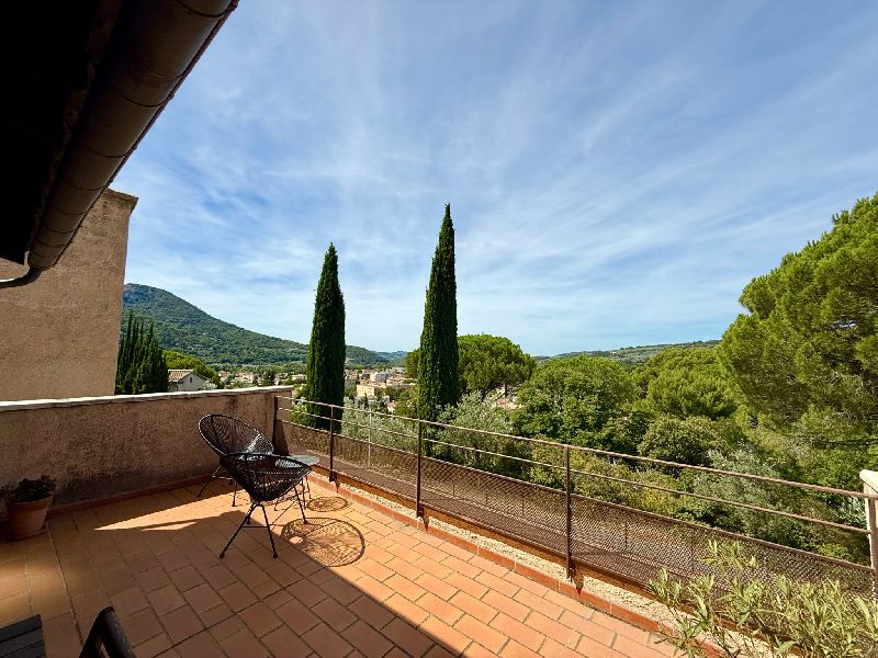 NYONS - BEL APPARTEMENT RENOVE / TERRASSE / JARDINET - image n°1