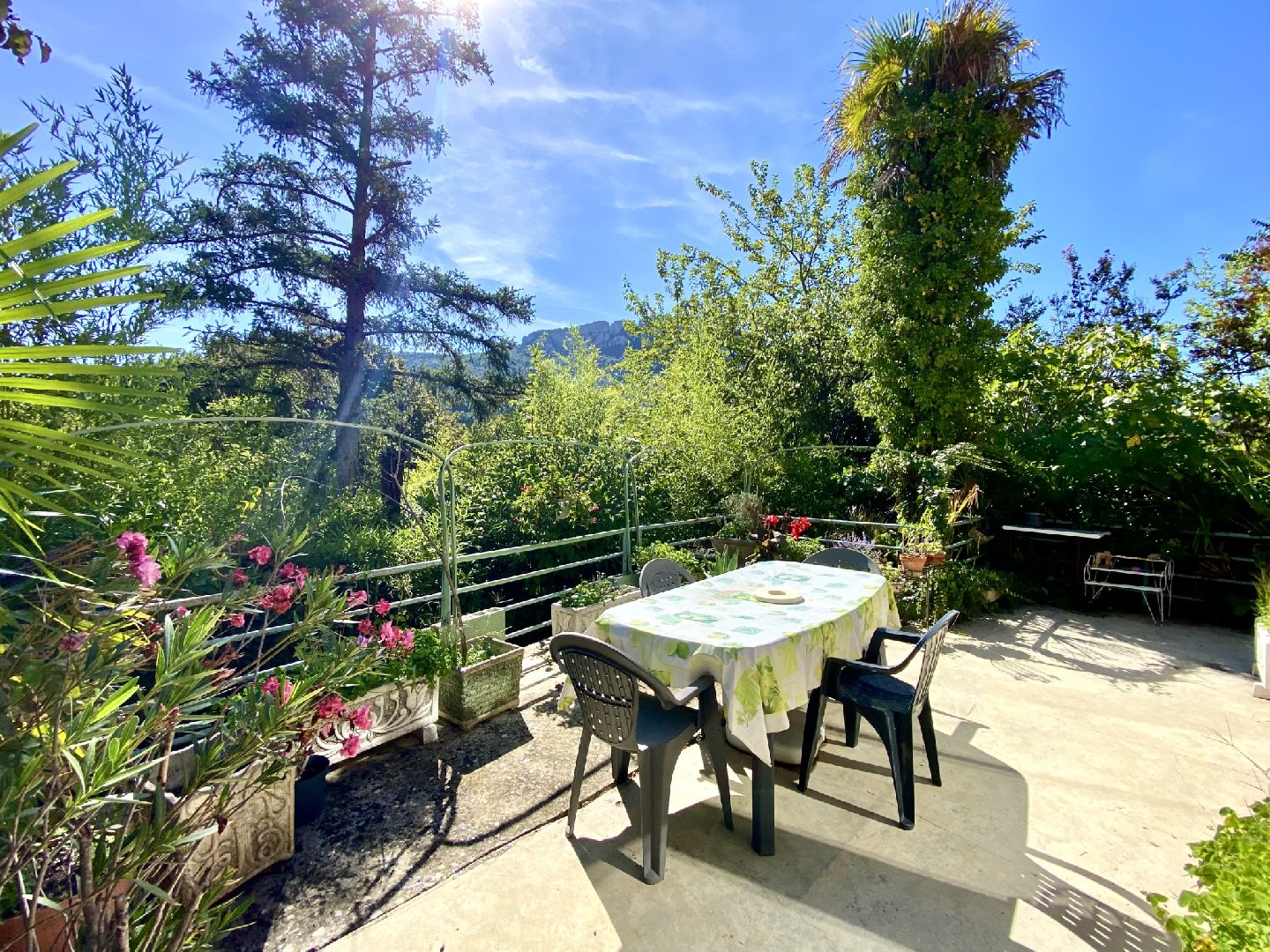 BUIS LES BARONNIES - BELLE MAISON AVEC GÏTE ET GARAGE