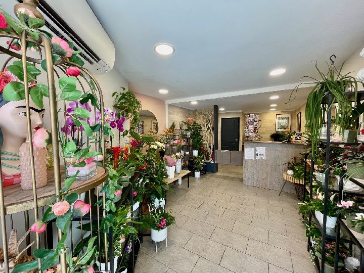 SABLET CENTRE - FOND DE COMMERCE FLEURISTE - image n°1