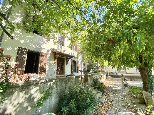 ORANGE CENTRE - BELLE MAISON BOURGEOISE AVEC PISCINE - image n°1