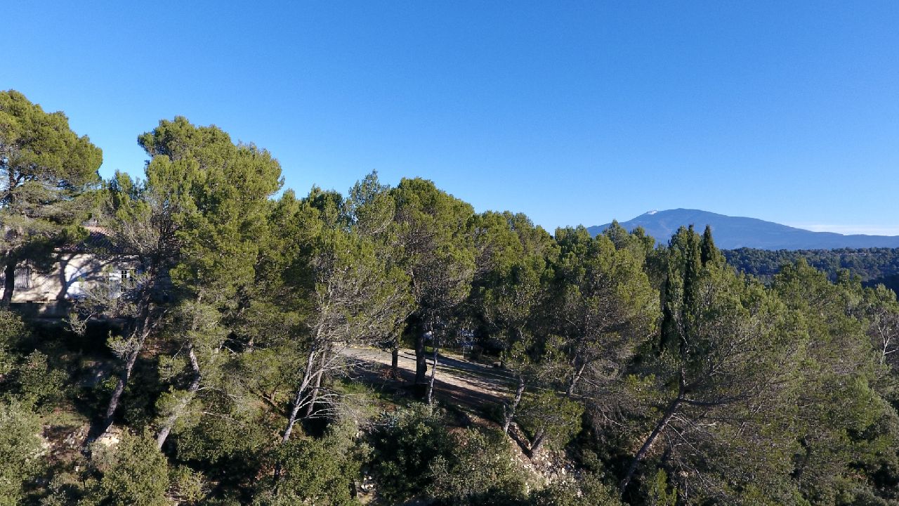 VAISON LA ROMAINE - MAISON AVEC PISCINE ET TERRAIN ARBORE