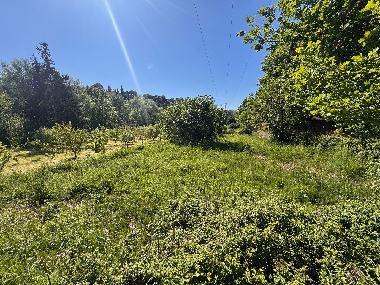 PUYMERAS - TERRAIN PLAT HORS LOTISSEMENT AU CALME